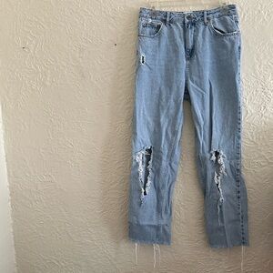 Urban Outfitters BDG Pax High Rise Straight Leg Light Wash Ripped Jeans 29